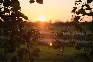 Parkta güzel bir gün batımı