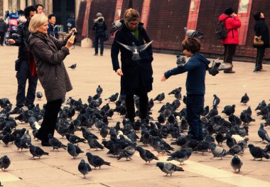 Venedik. İtalya 11 Kasım 2011 Venedik İtalya 'da güvercin besleyen bir aile. Turistler. Yüksek kalite fotoğraf