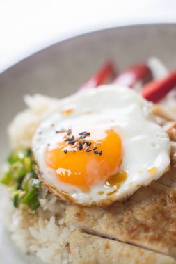 Teriyaki chicken donburi with fried egg, onion, red pepper and other vegetables. Typical Japanese dish.