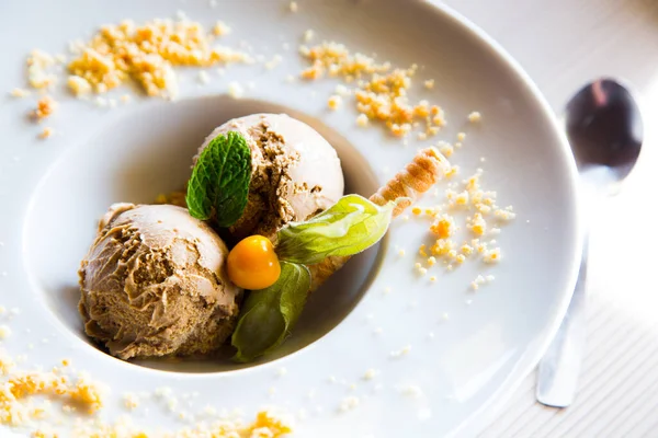 Artisanal Vanilla Flavored Italian Ice Cream — Stok fotoğraf
