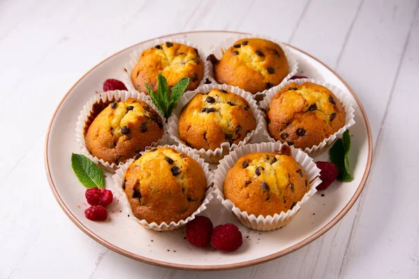 Chocolate Chips Muffin Made German Patisserie — Foto Stock