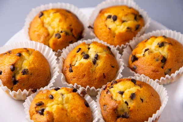 Chocolate Chips Muffin Made German Patisserie —  Fotos de Stock