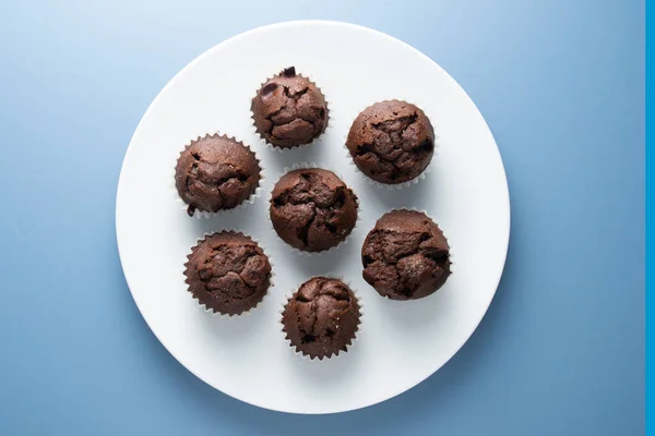 Chocolate Muffins Chocolate Chips — Foto Stock