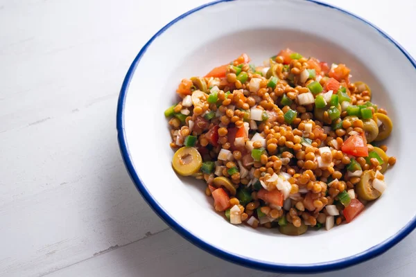 レンズ豆と野菜とおいしいと健康的な夏のサラダ — ストック写真