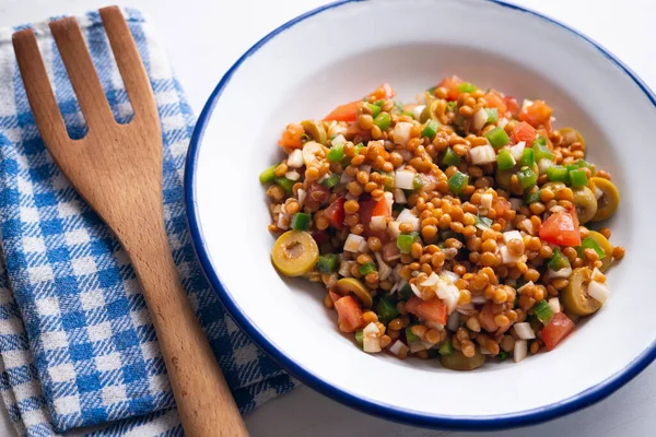 Mercimek Sebzeli Lezzetli Sağlıklı Yaz Salatası — Stok fotoğraf
