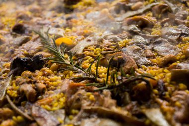 Valencia 'da geleneksel İspanyol paella' sı hazırlığı. İçindekiler tavuk, tavşan, fasulye, domates, safran, sarımsak ve pirinç..