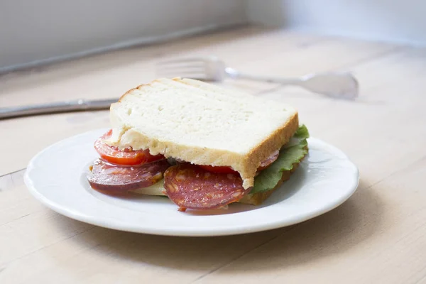 Delicious Sandwich Premium Salami Cut Salad — Stock Photo, Image