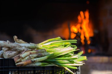 Romesco soslu Calsots. Calotlar, Kasım ve Nisan ayları arasında yetişen çeşitli taze soğanlardır..