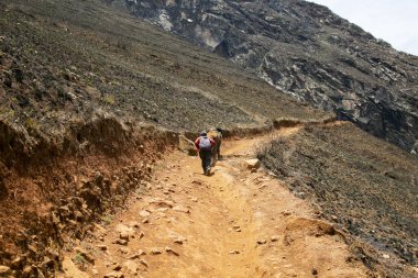 Apurmac Kanyonu 'ndan geçerek Peru' daki İnka arkeolojik alanı olan Choquequirao harabelerine gidin. Machu Picchu 'ya benzer bir yapı.