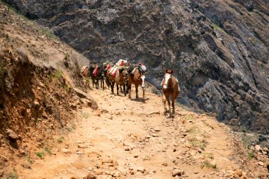 Apurmac Kanyonu 'ndan geçerek Peru' daki İnka arkeolojik alanı olan Choquequirao harabelerine gidin. Machu Picchu 'ya benzer bir yapı.