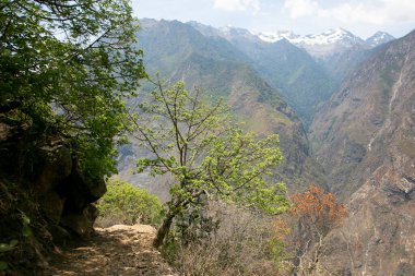 Apurmac Kanyonu 'ndan geçerek Peru' daki İnka arkeolojik alanı olan Choquequirao harabelerine gidin. Machu Picchu 'ya benzer bir yapı.