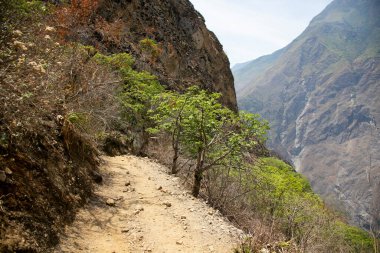 Apurmac Kanyonu 'ndan geçerek Peru' daki İnka arkeolojik alanı olan Choquequirao harabelerine gidin. Machu Picchu 'ya benzer bir yapı.