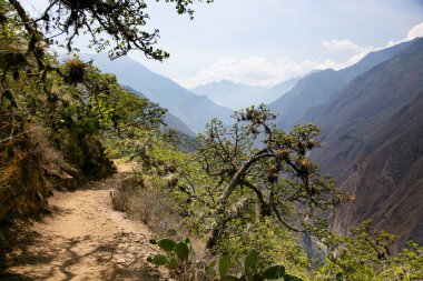 Apurmac Kanyonu 'ndan geçerek Peru' daki İnka arkeolojik alanı olan Choquequirao harabelerine gidin. Machu Picchu 'ya benzer bir yapı.
