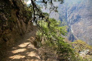 Apurmac Kanyonu 'ndan geçerek Peru' daki İnka arkeolojik alanı olan Choquequirao harabelerine gidin. Machu Picchu 'ya benzer bir yapı.