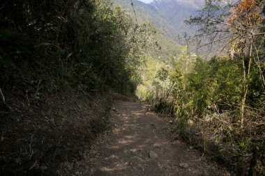 Apurmac Kanyonu 'ndan geçerek Peru' daki İnka arkeolojik alanı olan Choquequirao harabelerine gidin. Machu Picchu 'ya benzer bir yapı.