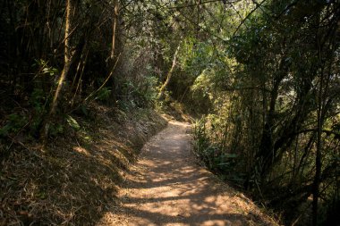 Apurmac Kanyonu 'ndan geçerek Peru' daki İnka arkeolojik alanı olan Choquequirao harabelerine gidin. Machu Picchu 'ya benzer bir yapı.