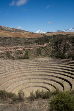 Kutsal Vadi 'de tarımsal teraslar. Cusco 'da Moray, Kutsal Vadi, Peru