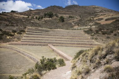 Kutsal Vadi 'de tarımsal teraslar. Cusco 'da Moray, Kutsal Vadi, Peru