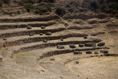 Kutsal Vadi 'de tarımsal teraslar. Cusco 'da Moray, Kutsal Vadi, Peru