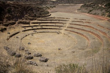 Kutsal Vadi 'de tarımsal teraslar. Cusco 'da Moray, Kutsal Vadi, Peru