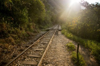 Machupicchu 'ya ulaşmak için Santa Teresa Hidroelectrica' dan Aguas Calientes 'e yürüyüş. Birkaç yürüyüşçüyle tren raylarını takip eden yol.