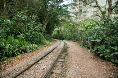 Machupicchu 'ya ulaşmak için Santa Teresa Hidroelectrica' dan Aguas Calientes 'e yürüyüş. Birkaç yürüyüşçüyle tren raylarını takip eden yol.