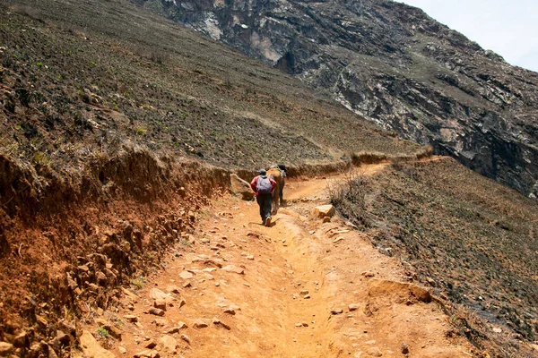 Escursione Attraverso Canyon Apurmac Alle Rovine Choquequirao Sito Archeologico Inca — Foto Stock