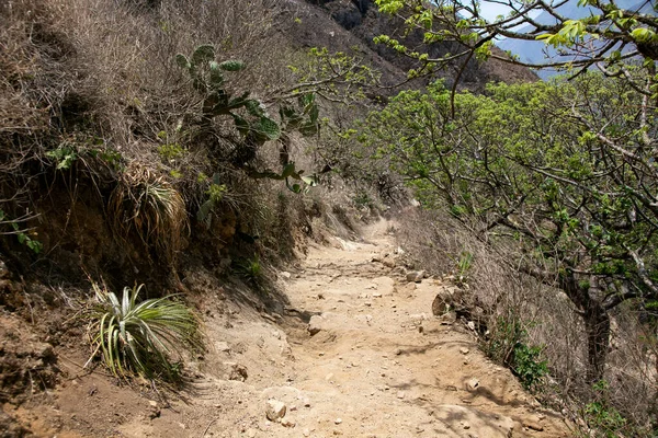 stock image Hike through the Apurmac canyon to the ruins of Choquequirao, an Inca archaeological site in Peru, similar in structure to Machu Picchu