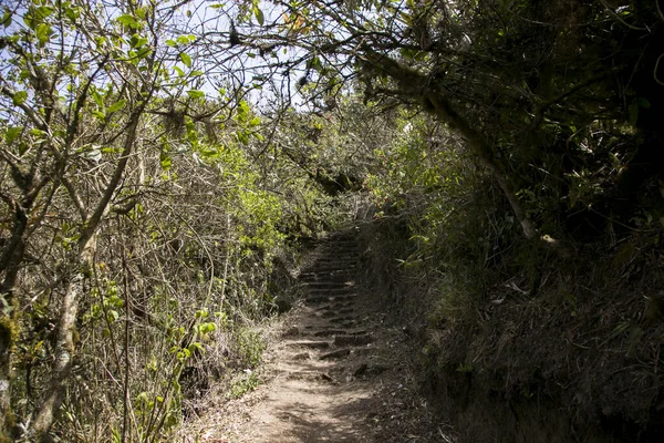 Caminata Por Cañón Apurmac Hasta Las Ruinas Choquequirao Sitio Arqueológico — Foto de Stock