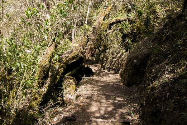 Caminhe Pelo Desfiladeiro Apurmac Até Ruínas Choquequirao Sítio Arqueológico Inca — Fotografia de Stock
