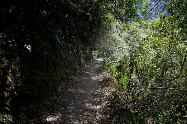 Escursione Attraverso Canyon Apurmac Alle Rovine Choquequirao Sito Archeologico Inca — Foto Stock