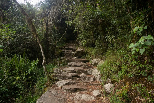 Caminando Hacia Ciudad Machu Picchu Por Sendero Inca Escalera Piedra — Foto de Stock