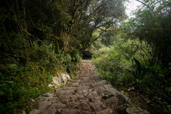 Caminando Hacia Ciudad Machu Picchu Por Sendero Inca Escalera Piedra —  Fotos de Stock