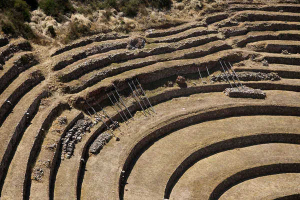 Сельскохозяйственные Террасы Священной Долине Море Куско Священная Долина Перу — стоковое фото