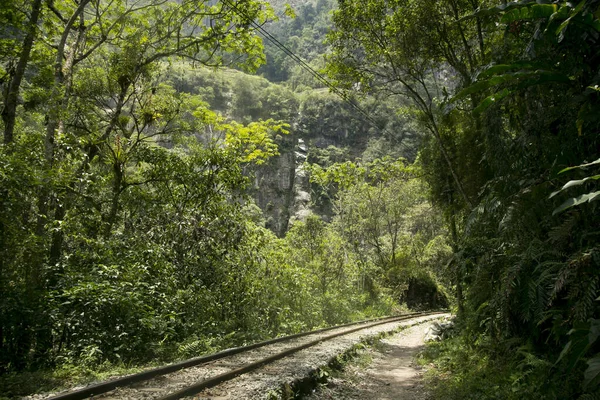 Пешком Санта Тереза Hidroelectrica Aguas Calientes Достичь Machupicchu Путь Железнодорожным — стоковое фото