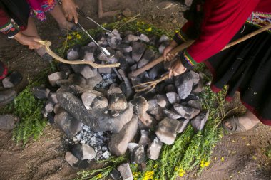 Peru 'daki Pachamanca töreni için temel malzemeler. Pachamanca töreninde kuzu, alpaka, domuz ve sığır eti pişirilir. Ayrıca tüp ve sebze çeşitleri. Hepsi sıcak taşların altında ve toprakla kaplı..
