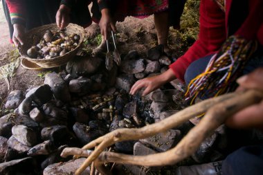 Peru 'daki Pachamanca töreni için temel malzemeler. Pachamanca töreninde kuzu, alpaka, domuz ve sığır eti pişirilir. Ayrıca tüp ve sebze çeşitleri. Hepsi sıcak taşların altında ve toprakla kaplı..