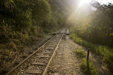 Machupichu 'ya ulaşmak için Santa Teresa Hidroelctrica' dan Aguas Calientes 'e yürüyüş. Birkaç yürüyüşçüyle tren raylarını takip eden yol.