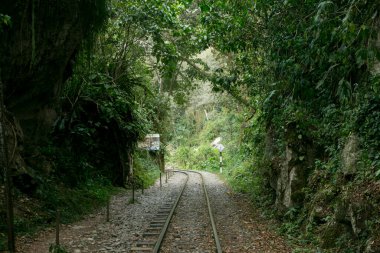 Machupichu 'ya ulaşmak için Santa Teresa Hidroelctrica' dan Aguas Calientes 'e yürüyüş. Birkaç yürüyüşçüyle tren raylarını takip eden yol.