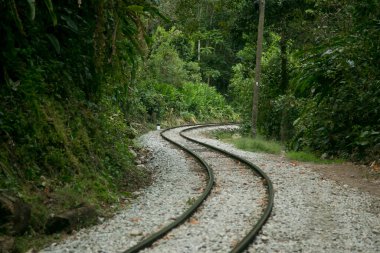 Machupichu 'ya ulaşmak için Santa Teresa Hidroelctrica' dan Aguas Calientes 'e yürüyüş. Birkaç yürüyüşçüyle tren raylarını takip eden yol.