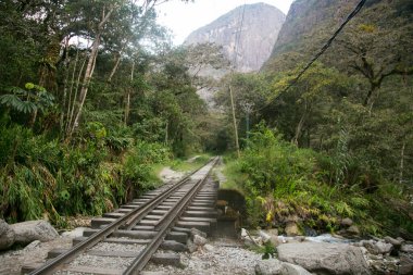 Machupichu 'ya ulaşmak için Santa Teresa Hidroelctrica' dan Aguas Calientes 'e yürüyüş. Birkaç yürüyüşçüyle tren raylarını takip eden yol.