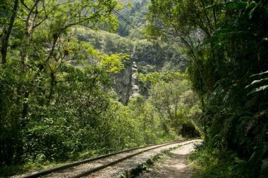 Machupichu 'ya ulaşmak için Santa Teresa Hidroelctrica' dan Aguas Calientes 'e yürüyüş. Birkaç yürüyüşçüyle tren raylarını takip eden yol.