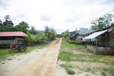 Peru 'nun Amazon bölgesinde Yurimaguas şehrine yakın bir kasabadaki caddelerden ve evlerden görüntüler.