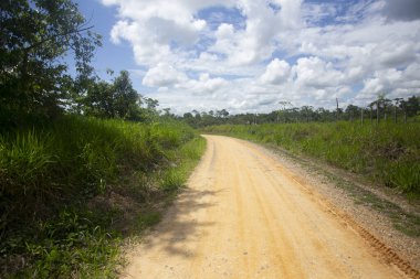 Peru 'nun Amazon bölgesinde Yurimaguas şehrine yakın bir kasabadaki caddelerden ve evlerden görüntüler.