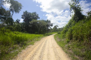 Peru 'nun Amazon bölgesinde Yurimaguas şehrine yakın bir kasabadaki caddelerden ve evlerden görüntüler.