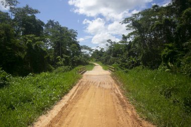 Peru 'nun Amazon bölgesinde Yurimaguas şehrine yakın bir kasabadaki caddelerden ve evlerden görüntüler.