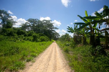 Peru 'nun Amazon bölgesinde Yurimaguas şehrine yakın bir kasabadaki caddelerden ve evlerden görüntüler.