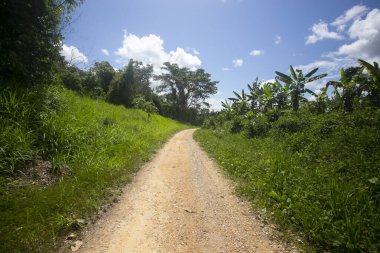 Peru 'nun Amazon bölgesinde Yurimaguas şehrine yakın bir kasabadaki caddelerden ve evlerden görüntüler.