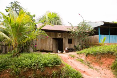 Peru 'nun Amazon bölgesinde Yurimaguas şehrine yakın bir kasabadaki caddelerden ve evlerden görüntüler.