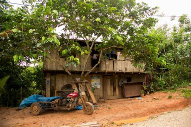 Peru 'nun Amazon bölgesinde Yurimaguas şehrine yakın bir kasabadaki caddelerden ve evlerden görüntüler.